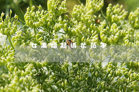女离婚起诉状范本