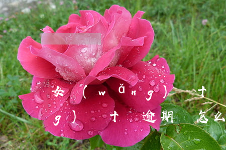 女網(wǎng)貸十萬逾期 女網(wǎng)貸十萬逾期會怎么樣