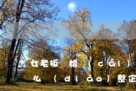 女老板離婚財(cái)產(chǎn)怎么調(diào)整(企業(yè)老板離婚分財(cái)產(chǎn))