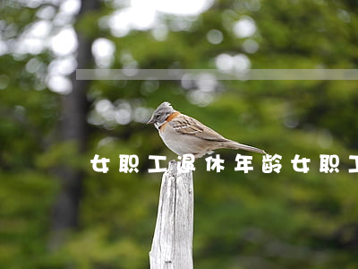 女职工退休年龄(女职工退休年龄最新规定)