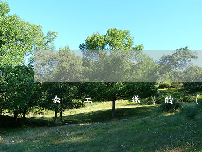 女職工勞動保護的內(nèi)容
