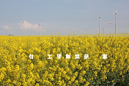 女職工孕期禁忌從事