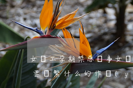 女職工孕期禁忌從事(女職工孕期禁忌從事需要頻繁什么的作業(yè))