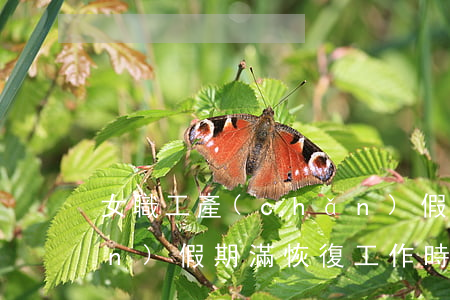 女職工產(chǎn)假(女職工產(chǎn)假期滿恢復工作時,應允許有)