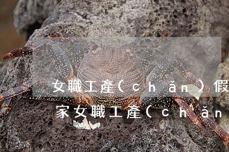 女職工產(chǎn)假規(guī)定(國家女職工產(chǎn)假規(guī)定)