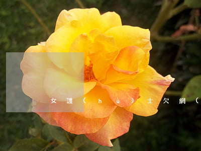 女護(hù)士欠網(wǎng)貸