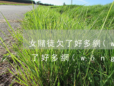 女賭徒欠了好多網(wǎng)貸(女賭徒欠了好多網(wǎng)貸)
