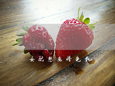 女配想离婚免费