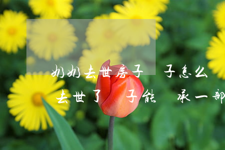 奶奶去世房子孫子怎么繼承(奶奶的房子父親去世了孫子能繼承一部分嗎)