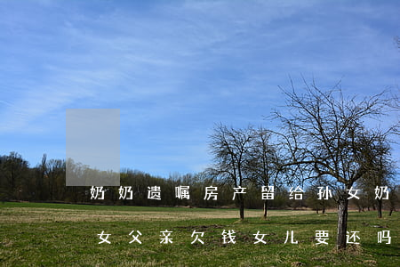 奶奶遗嘱房产留给孙女(奶奶遗嘱房产留给孙女,父亲欠钱,女儿要还吗)