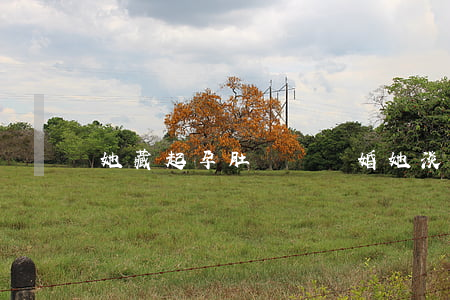 她藏起孕肚瀟灑離婚(她淡定藏起三個月孕肚離開)