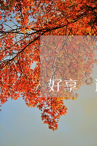 好享貸逾期時間 好享貸有沒有寬限期