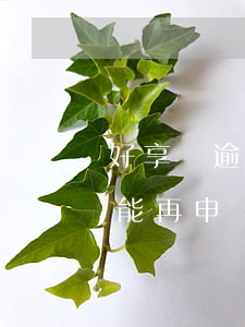 好享貸逾期法律規(guī)定 好享貸到期能再申請(qǐng)嗎