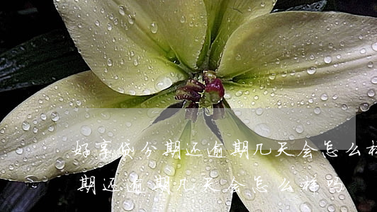 好享贷分期还逾期几天会怎么样-好享贷分期还逾期几天会怎么样吗
