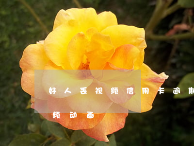 好人丢视频信用卡逾期视频（信用卡逾期小视频动画）