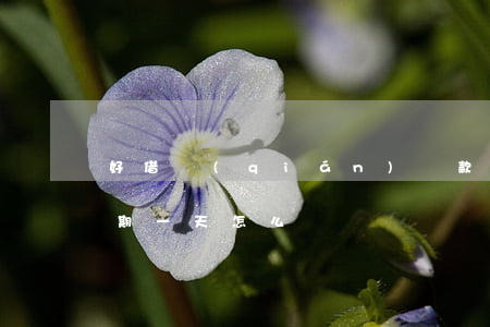 好借錢(qián)貸款逾期一天(今借到逾期一天怎么樣)