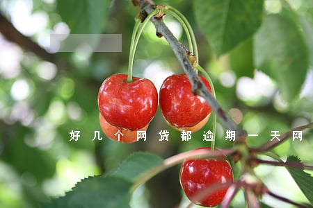 好几个网贷都逾期一天(网贷逾期一千多天)