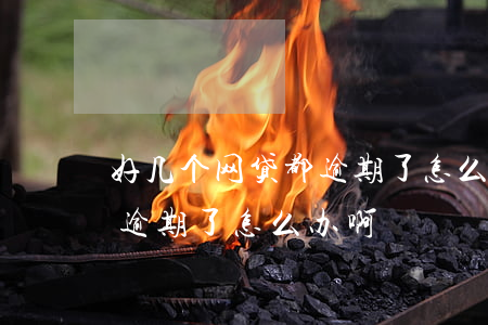好几个网贷都逾期了怎么办-好几个网贷都逾期了怎么办啊
