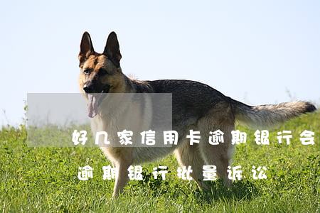 好几家信用卡逾期银行会联合起诉吗（信用卡逾期银行批量诉讼）