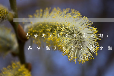 好分期3600元逾期3個(gè)月了-好分期3600元逾期3個(gè)月了會(huì)怎樣