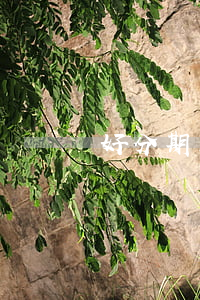 好分期三千元逾期半年說要起訴我