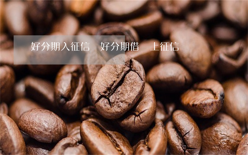 好分期入征信嗎(好分期借錢上征信嗎)
