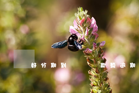 好分期到幾點還款算逾期(好分期還款時間)