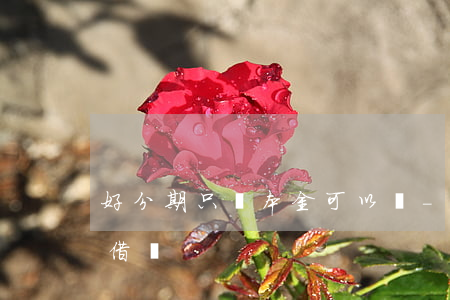 好分期只還本金可以嗎-好分期要還完才能借嗎