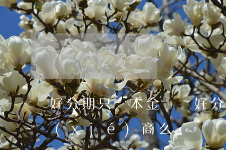 好分期只還本金銷賬(好分期本金還清了可協(xié)商么)