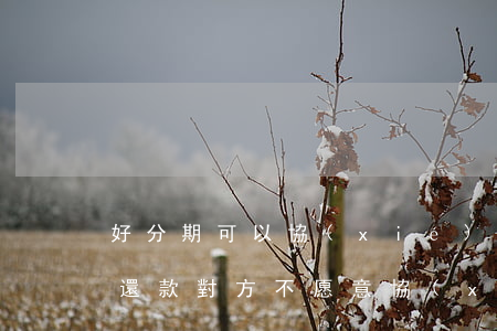 好分期可以協(xié)商還款嗎(我想分期還款對方不愿意協(xié)商)