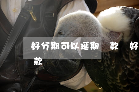 好分期可以延期還款嗎(好分期能不能延期還款)