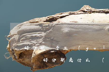 好分期屬于正規(guī)網(wǎng)貸嗎 好分期是什么網(wǎng)貸