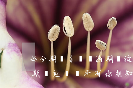 好分期幾千塊錢逾期會被起訴嗎-好分期逾期會起訴嗎?所有你想知道的都在這兒!