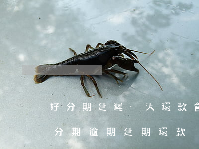 好分期延遲一天還款會(huì)怎么樣（好分期逾期延期還款）