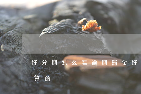 好分期怎么看逾期罰金(好分期的罰息是怎么算的)