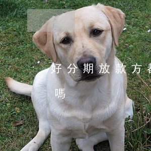 好分期放款方都上征信嗎（好分期接入了征信嗎）