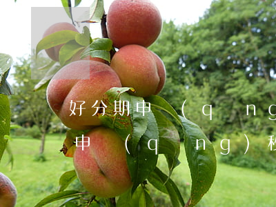 好分期申請(qǐng)免息(好分期有額度申請(qǐng)秒拒)