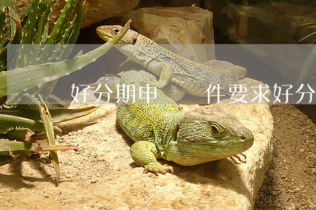 好分期申請條件要求(好分期申請流程)