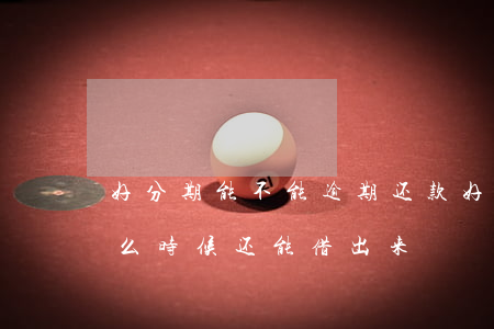 好分期能不能逾期还款(好分期逾期还完了什么时候还能借出来)