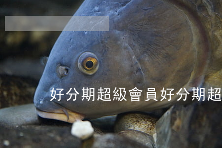 好分期超級會員(好分期超級會員能下款嗎)