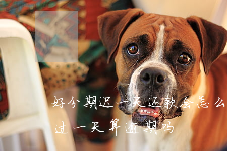 好分期迟一天还款会怎么样（好分期还款日超过一天算逾期吗）