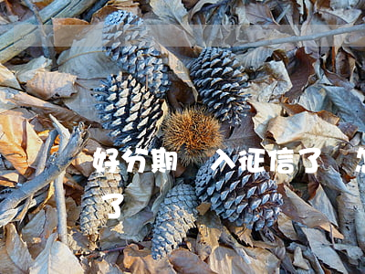 好分期進入征信了嗎怎么查（好分期進入征信了嗎）