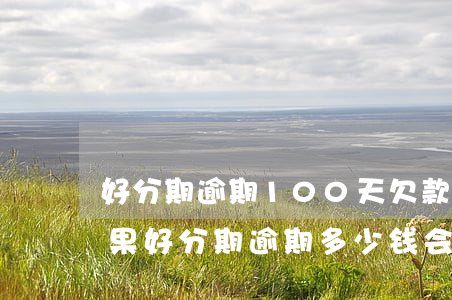 好分期逾期100天欠款5000有什么后果（好分期逾期多少钱会被起诉）