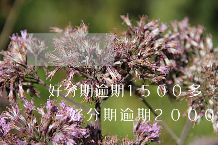 好分期逾期1500多會(huì)起訴嗎-好分期逾期2000元,150天,會(huì)起訴我嗎?