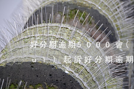 好分期逾期5000會(huì)不會(huì)起訴(好分期逾期金額小的話會(huì)不會(huì)被起訴)