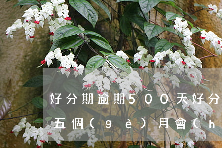 好分期逾期500天(好分期逾期2000四五個(gè)月會(huì)不會(huì)有影響)