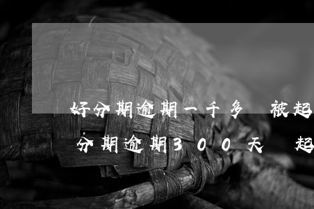 好分期逾期一千多會被起訴嗎（優(yōu)分期逾期300天會起訴嗎）