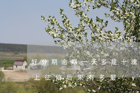 好分期逾期一天多幾十塊錢(好分期逾期一天上征信?后果有多嚴(yán)重?)