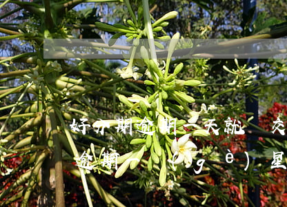 好分期逾期一天就遞交失信懲戒函-好分期逾期一個(gè)星期會(huì)被列為失信人員嘛