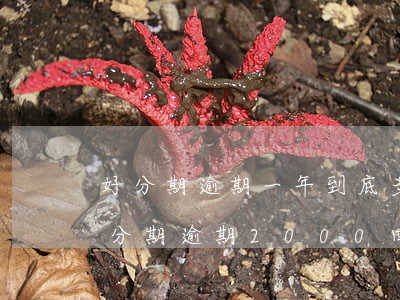 好分期逾期一年到底多嚴(yán)重-好分期逾期2000四五個(gè)月會(huì)不會(huì)有影響